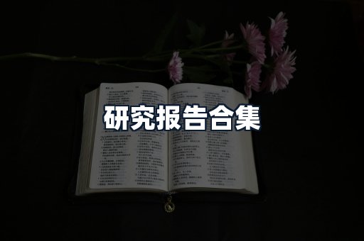 研究报告合集